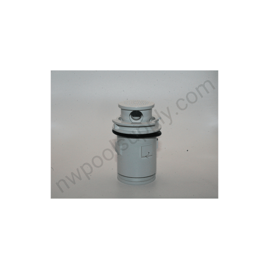 Pentair 231201 White G4V Cleaning Internal Head open