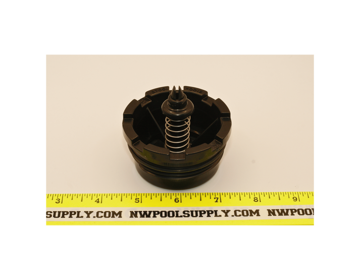 Pentair Spring Check Valve for PLM & PLD Filter Systems | 27001-0130S ...