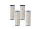 PA56L-PAK4 replacement cartridge 4 pack hayward c2030 set of four